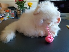 Rare Keel Toys Simply Soft