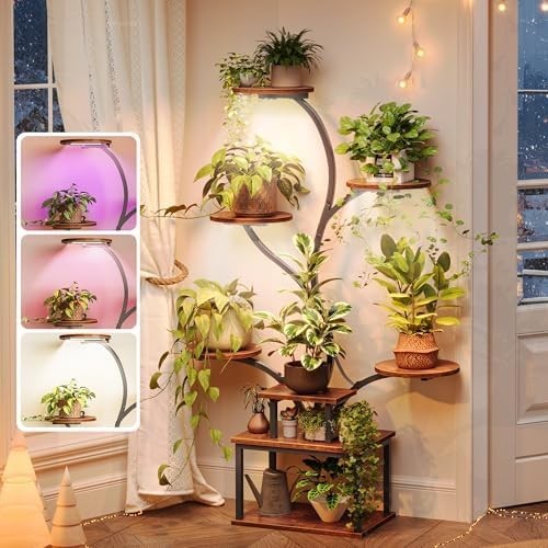 Large plant stand indoor with - indoor,
