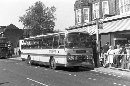 Photo laceys leyland - leyland, leopard