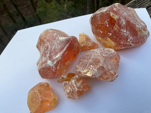 Pinyon pine pitch glue resin - pinyon,