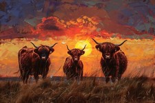 HIGHLAND COW CANVAS PICTURE PRINT WALL ART
