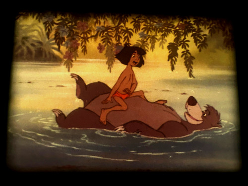 The jungle book feature - jungle,