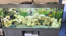 Juwel Rio 450L Fish Tank
