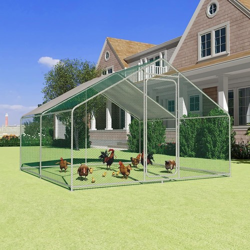 Large walk chicken coop - walk, in