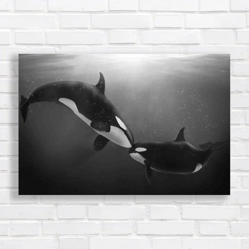 Orca tenderness black - orca,