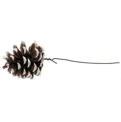 Pine cones wire - on,