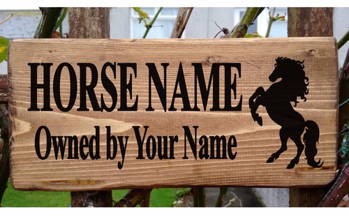 Personalised horse stable door - stable,