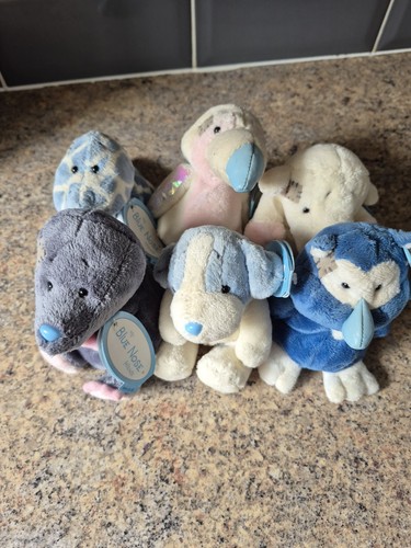 Blue nose friends teddy - blue,