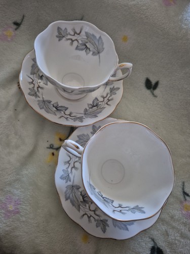 Royal albert silver maple bone - royal,