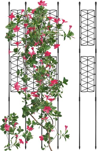 Pack inches garden - 6,
