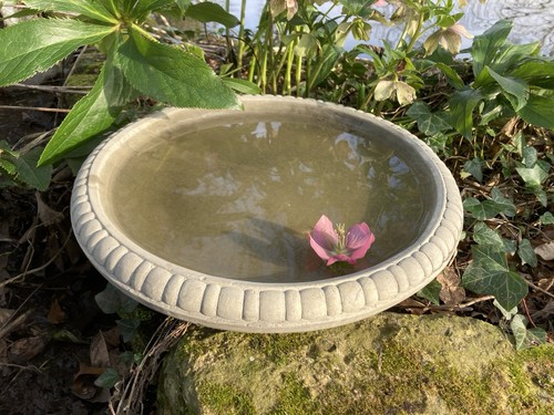 Stone garden bird bath top - stone,