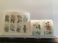 Staffa Scotland plant flowers Polyanthus  MNH stamps  R25303