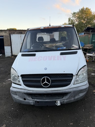 Mercedes benz sprinter 313 cdi - mercedes,