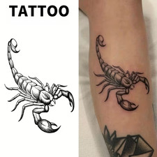 SCORPION DESIGN TEMPORARY