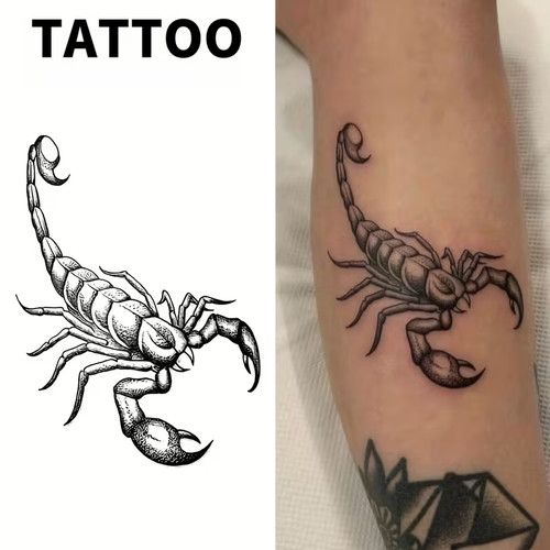 Scorpion design temporary - design,