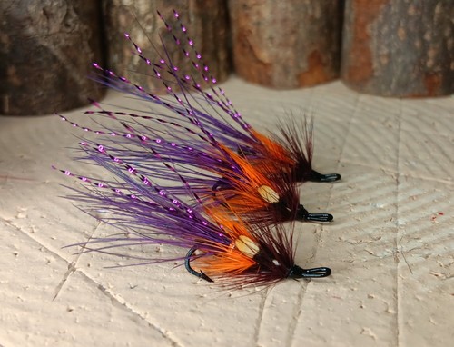Faughan shrimp salmon - ,