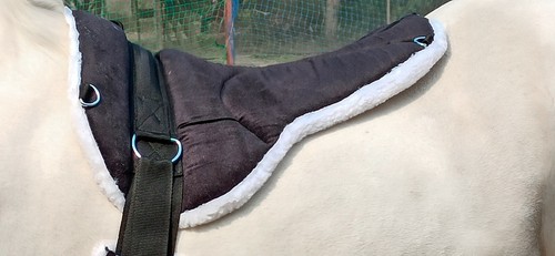 New exclusive bareback pad - exclusive,