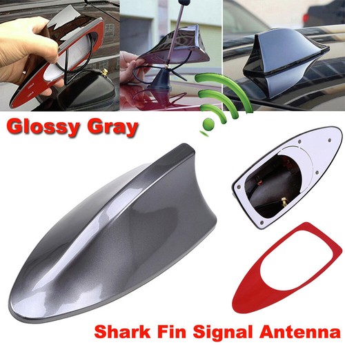 Gray car shark - car,