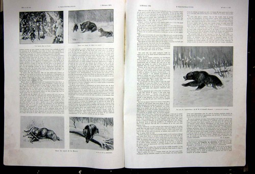Original old vintage print - original,