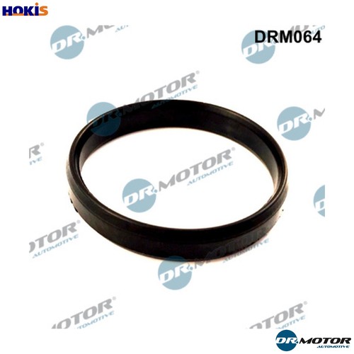 Gasket throttle body - gasket, drm064