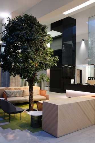 Photo 6x4 ficus - photo,