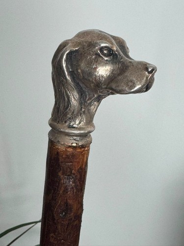 Hazel wooden walking stick - wooden,