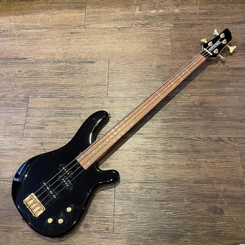 Fernandes gravity std - gravity, 2002