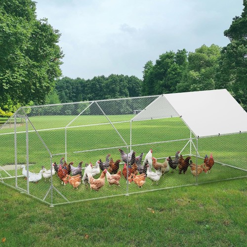 Metal chicken coop - x, 20