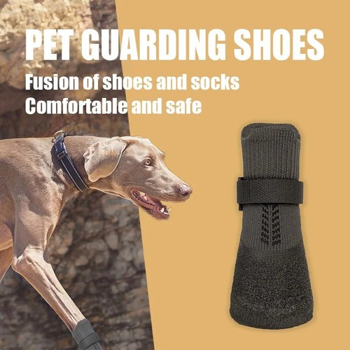 Winter dog shoes paw - dog,