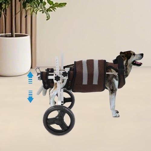 Pet wheelchair for back legs - wheelchair,