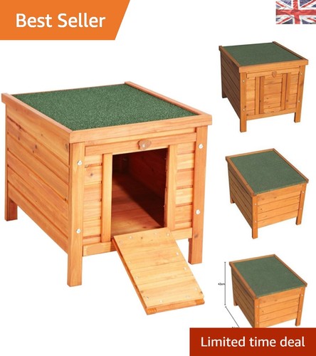 Spacious rabbit guinea pig - rabbit, &