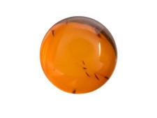 Natural Amber Cabochons -