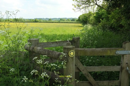 Photo 6x4 path - near, hunt's