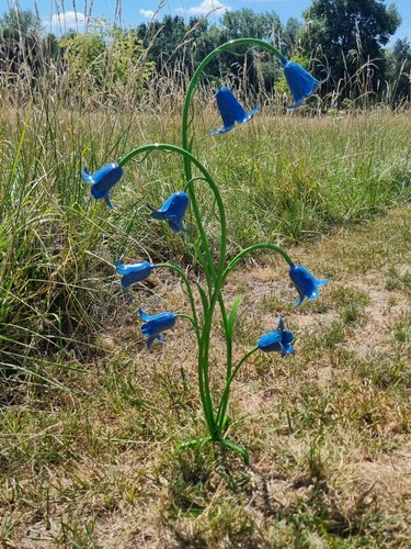 Bluebells blue flower - blue,