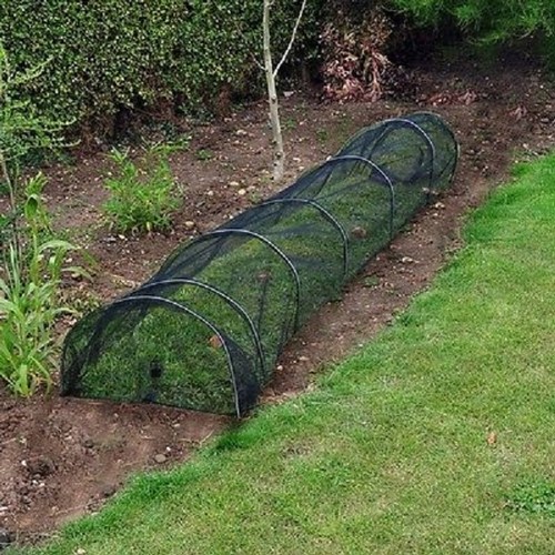 Net garden allotment grow - garden,