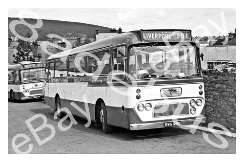 Bus photograph eastern - bus,