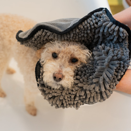 Noodle dog wash quick drying - quick,
