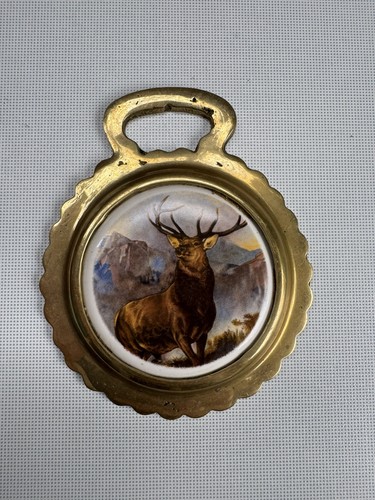 Vintage horse brass stag - vintage,