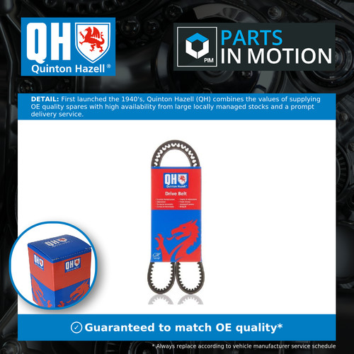 Drive belt qba1075 quinton - drive,