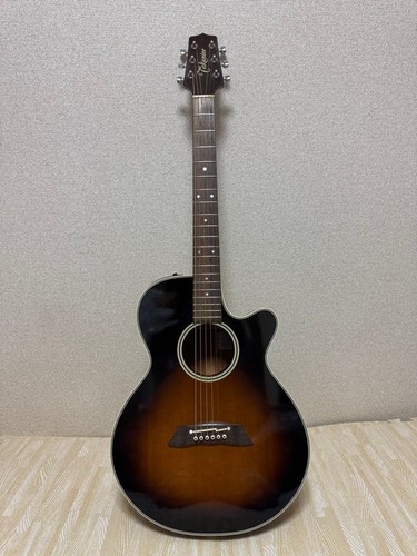 Takamine 106 acoustic - pt-106, bs