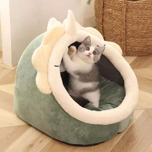 Pet cat warm soft - soft, house