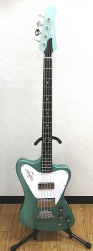 Gibson thunderbird non - thunderbird, non-reverse