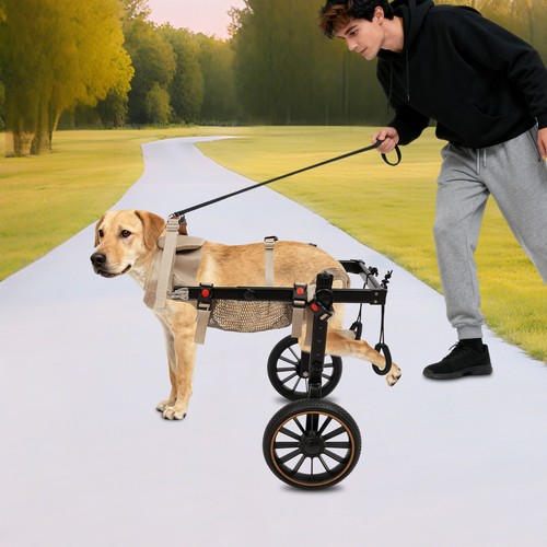 Dog wheelchair for - dog, back