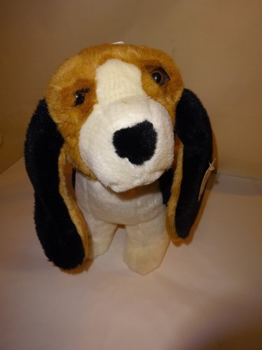 Basset hound puppy dog - basset,
