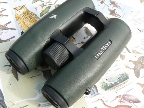 Swarovski 42 el roof - 42,