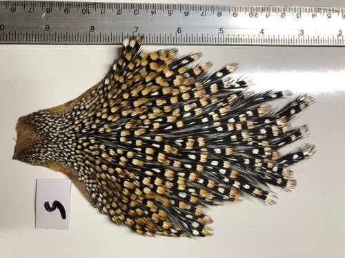 Jungle cock cape fly tying - fly,