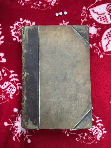 Rare 1880 illustrated - rare,