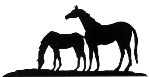 Steel horse foal - foal, race