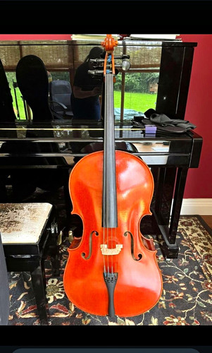 Jay haide 101 acoustic cello - haide,