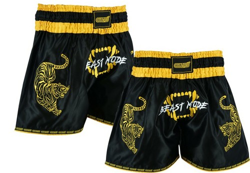 Evo muay thai - cage, fight
